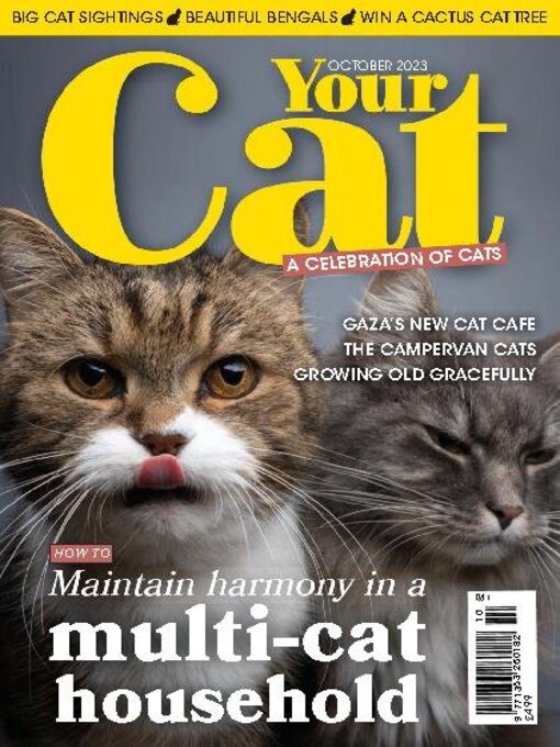 Title details for Your Cat by Warners Group Publications Plc - Available